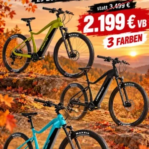 Leader Fox Awalon E-Bike MTB Hardtail 720Wh 80Nm 29" Statt 3499€